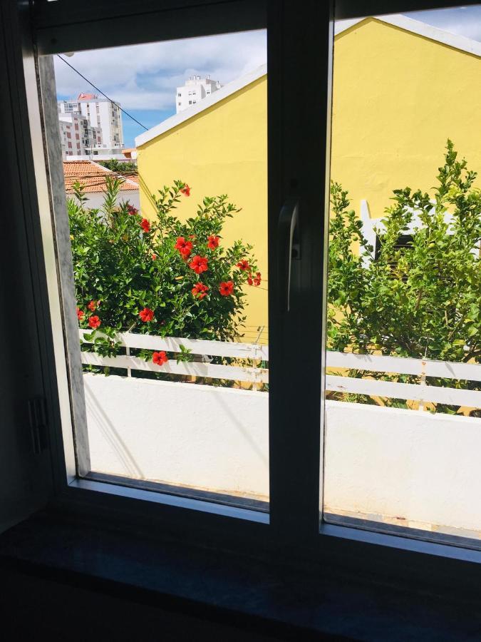 포티마오 Casa Da Avo 아파트 외부 사진